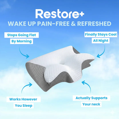 Veloreva Restore+ Pillow